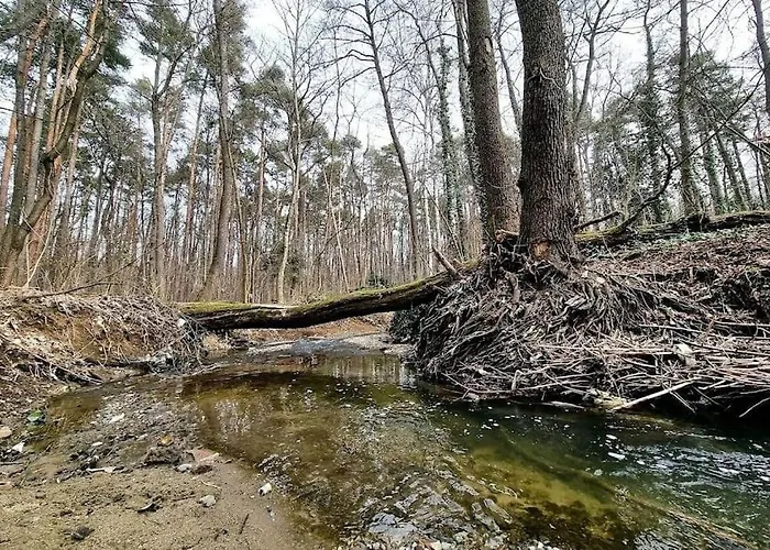 Parkside Getaway - Dianabad Appartamento *