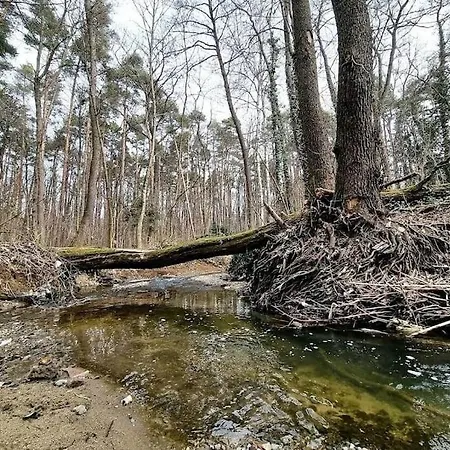 Parkside Getaway - Dianabad Apartament *